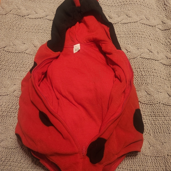 Lady Bug Vibrant Red Costume - Picture 3 of 5